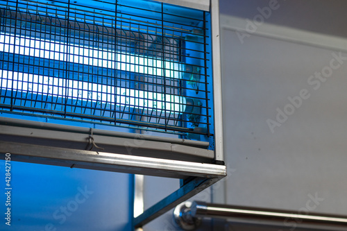 Cuadro en lienzo Insect or mosquito elimination device during turing on the UV lighting