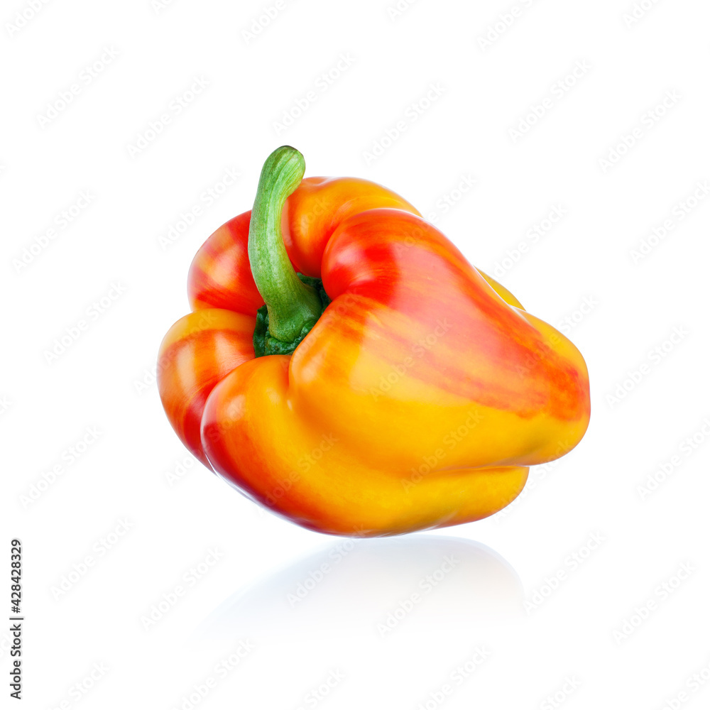Tiger Paprika isoliert auf weissem Hintergrund Tiger Paprika isoliert auf weissem Hintergrund