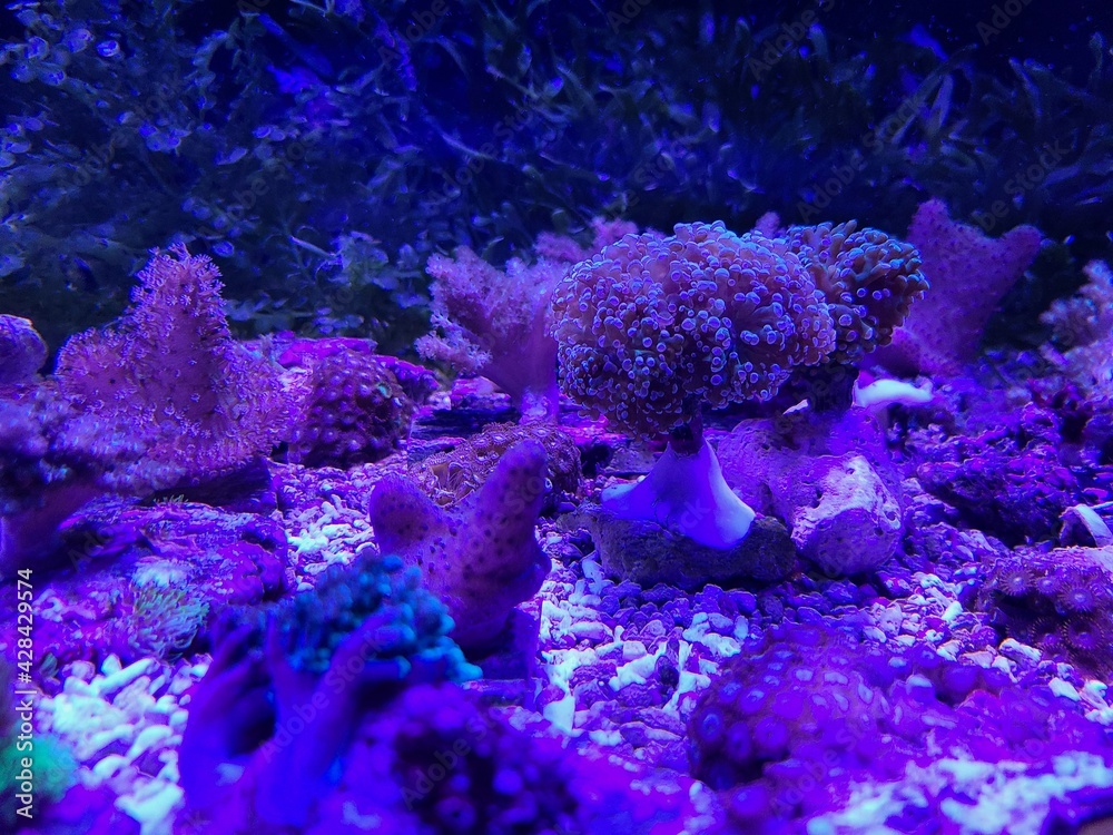 Obraz premium an unhappy sea