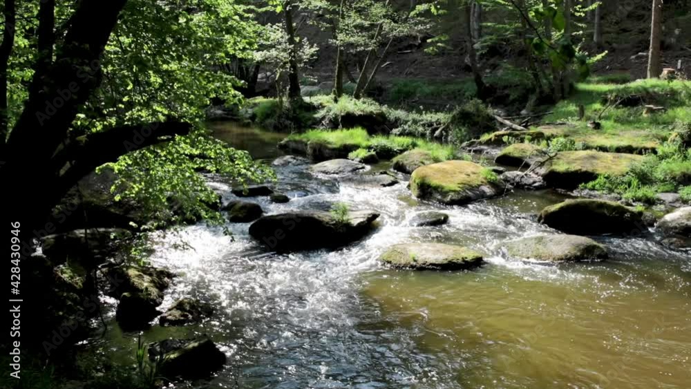 Frühsommerlicher Flusslauf im Wald, Wasser über Felsen, Waldnaab, Waldnaabtal