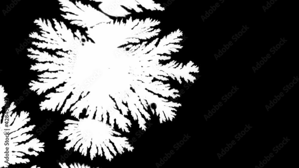 White ink spreads on black background, ink blot. White paint splashes on black background. Ink blot runs on black background White ink spreads on black background, ink blot. White paint splashes on black background. Ink blot runs on black background