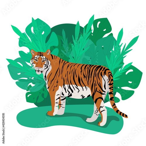 Tiger standing among thick palm leaves, wild carnivores living in the jungle, vector illustration in flat style.