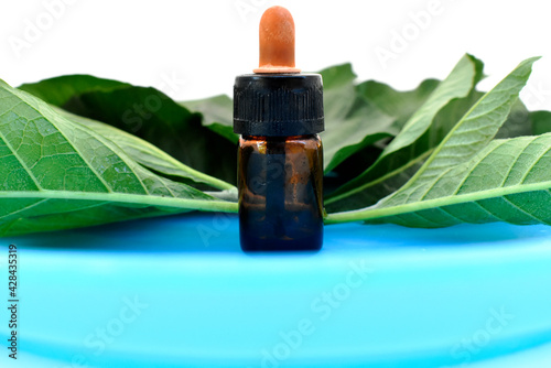 Green herbal leaves, Bitter leaf tree, Gymnanthemum extensum, Vernonia amygdalina, Nan Fui Chao, and essence herbal medicine bottles are placed on a white background. photo