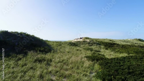 reveal shot of private beach