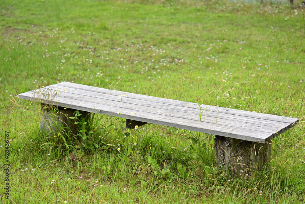 草地にある木製のベンチ