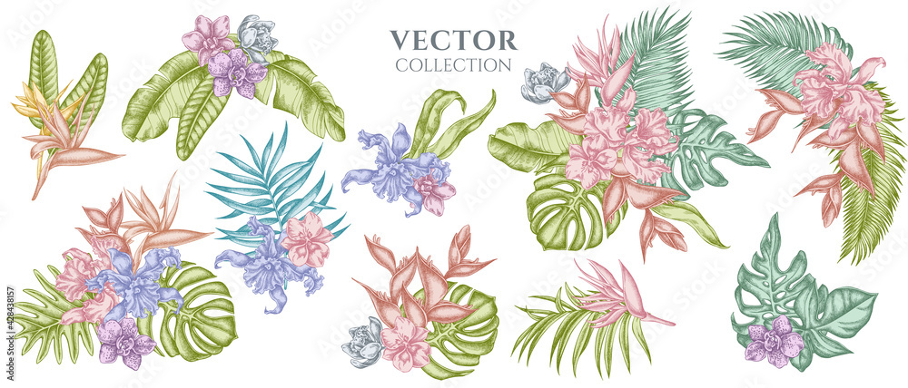 Flower bouquet of pastel monstera, banana palm leaves, strelitzia, heliconia, tropical palm leaves, orchid Flower bouquet of pastel monstera, banana palm leaves, strelitzia, heliconia, tropical palm leaves, orchid