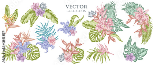 Flower bouquet of pastel monstera, banana palm leaves, strelitzia, heliconia, tropical palm leaves, orchid