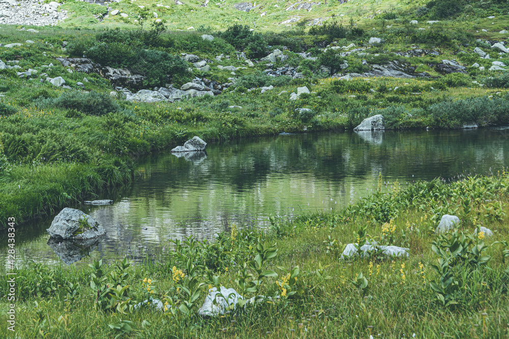 Mountain lake with grassy banks and boulders Mountain lake with grassy banks and boulders