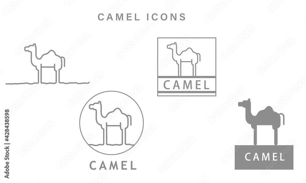 Camel icons on white background