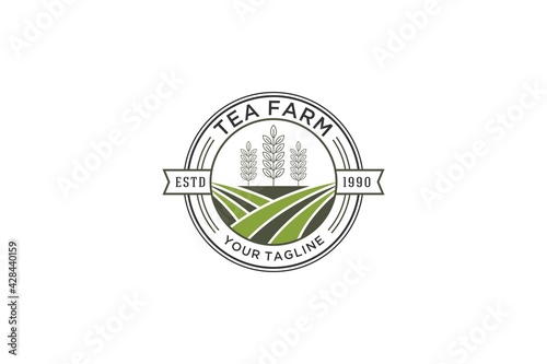 tea plantation logo with the addition of tea leaves that still have a stalk