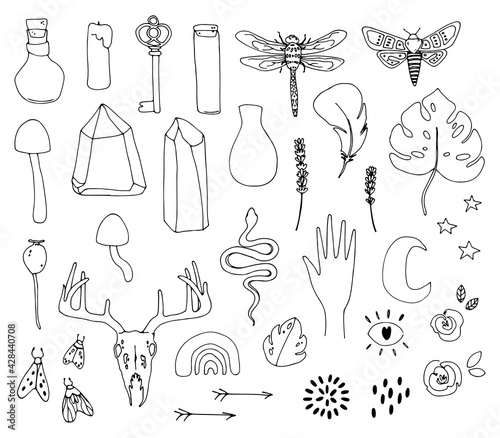 Wallpaper Mural line art boho clipart practical magic clip art bohemian meadows celestial moon crystal spirit moth mystery dragonfly elements Torontodigital.ca