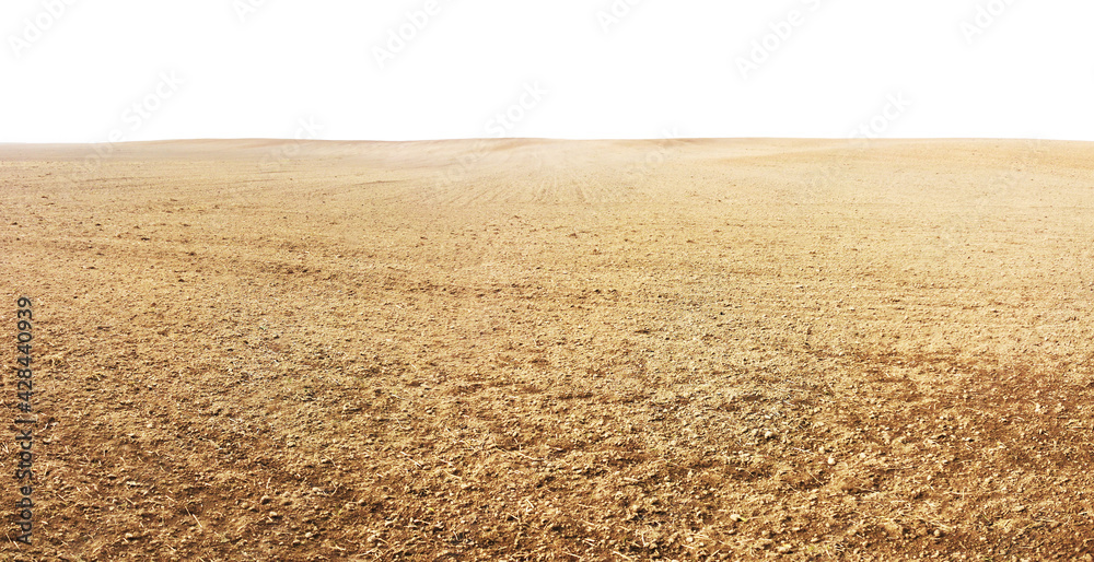 Landscape with agricultural land, in slope, recently plowed and prepared for the crop. Copy space