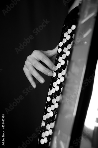 accordéon numérique Roland