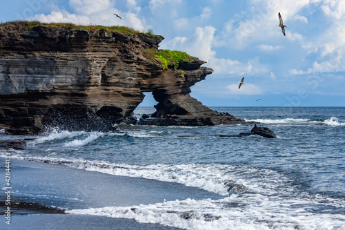Natural arch - Island of Fernandina - Galapagos Islands photo