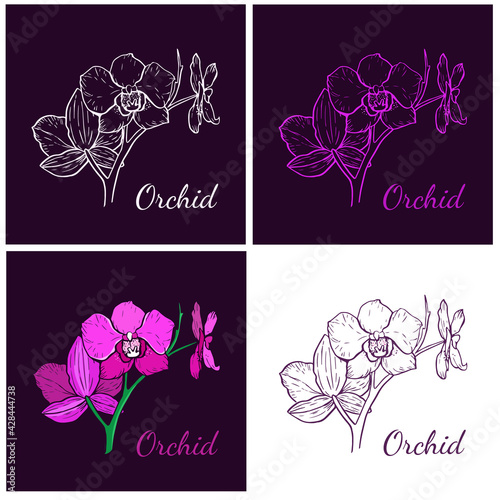 Four variants of the orchid flower logo. Vector illustration