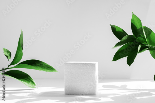 White porous cube  square podium with leaves and shadows on a white gray background. Conceptual scene  showcase for a new product  presentation  sale  advertisement  banner  cosmetics. With copy space