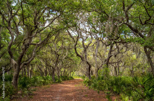 Rock Springs Run State Reserve in central Florida.