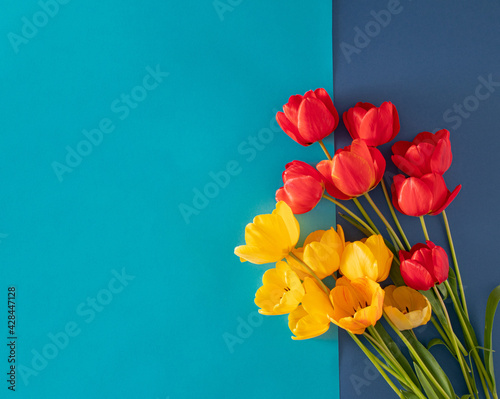 fresh red and yellow spring tulips with green leaves onpastel and baby blue background. minimal summer spring abstract flat lay background photo