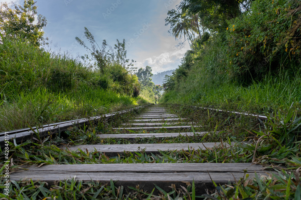 Ella auf Sri Lanka, Bahngleise mit Zug Ella auf Sri Lanka, Bahngleise mit Zug