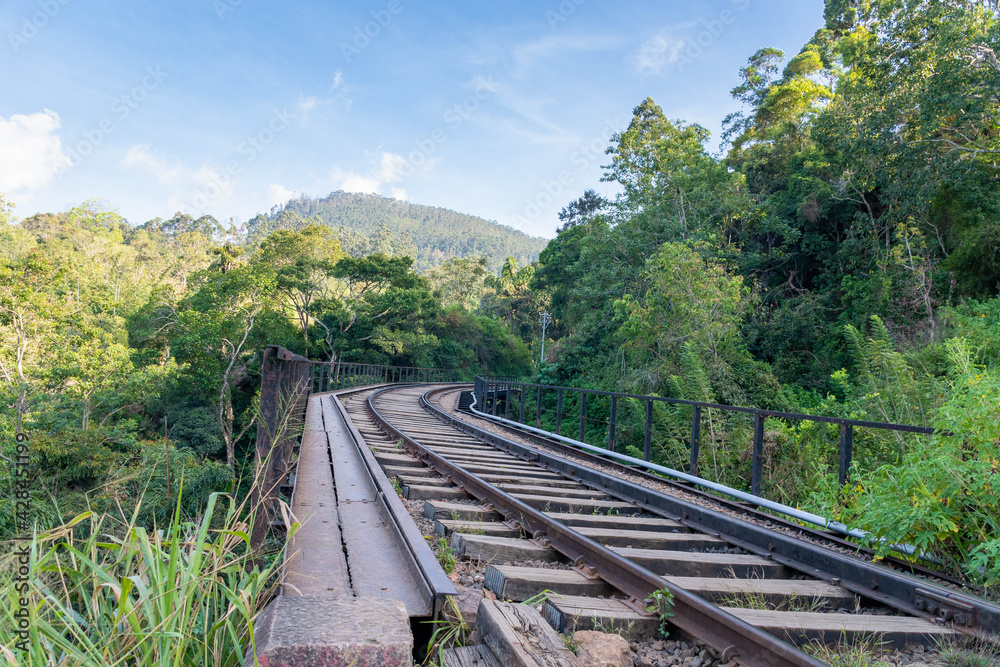 Fototapeta premium Ella auf Sri Lanka, Bahngleise mit Zug 