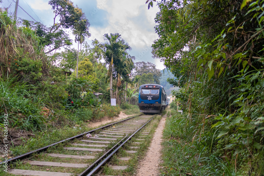 Ella auf Sri Lanka, Bahngleise mit Zug 