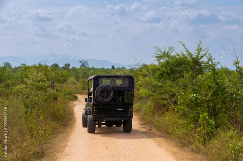 Safari auf Sri Lanka 