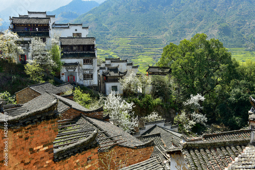 The houses with Jiangxi characteristics and the villages full of pear flowers are built on the hillside