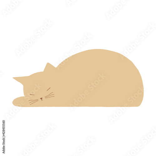 Cute sleeping cat vector illustration. Flat cartoon minimalist isolated cat on the white background