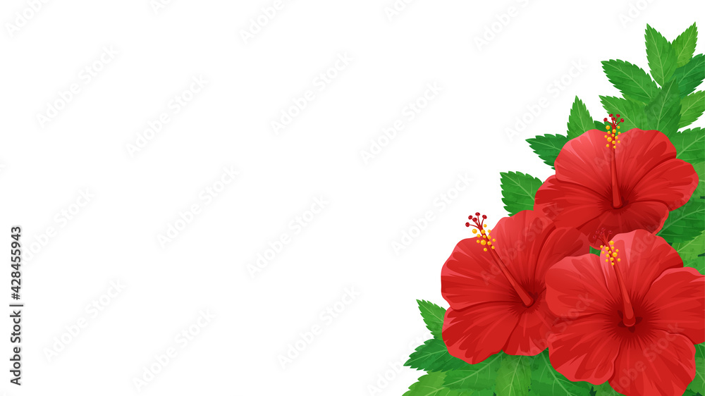 ハイビスカスの花と葉っぱのフレーム イラスト素材 16 9 Stock Vektorgrafik Adobe Stock
