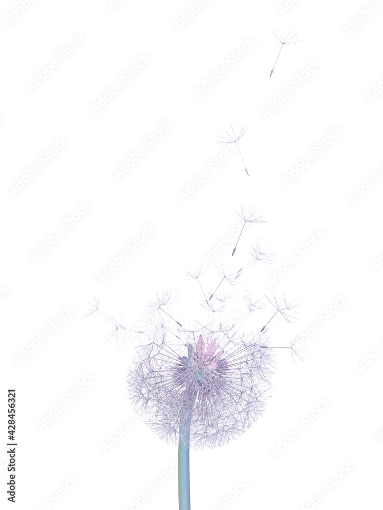 Obraz premium dandelion particles fly up on white background