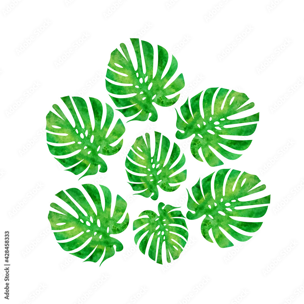 leaf green plant summer plant leaf green plant summer plant