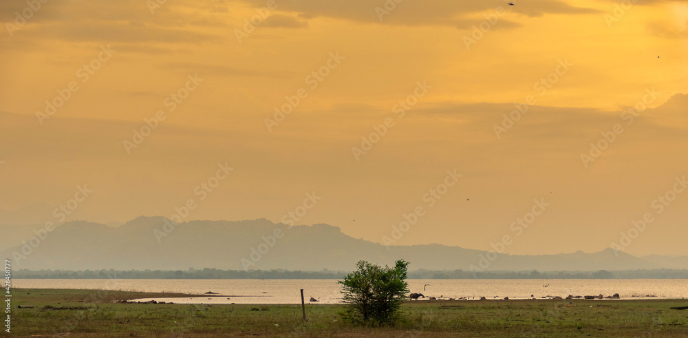 Sonnenuntergang Safari auf Sri Lanka