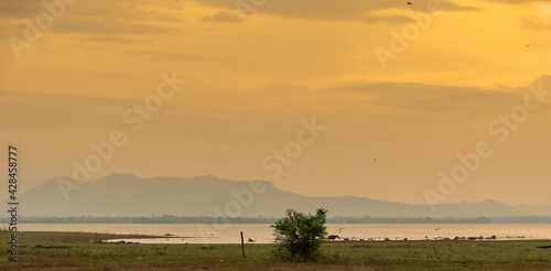 Sonnenuntergang Safari auf Sri Lanka