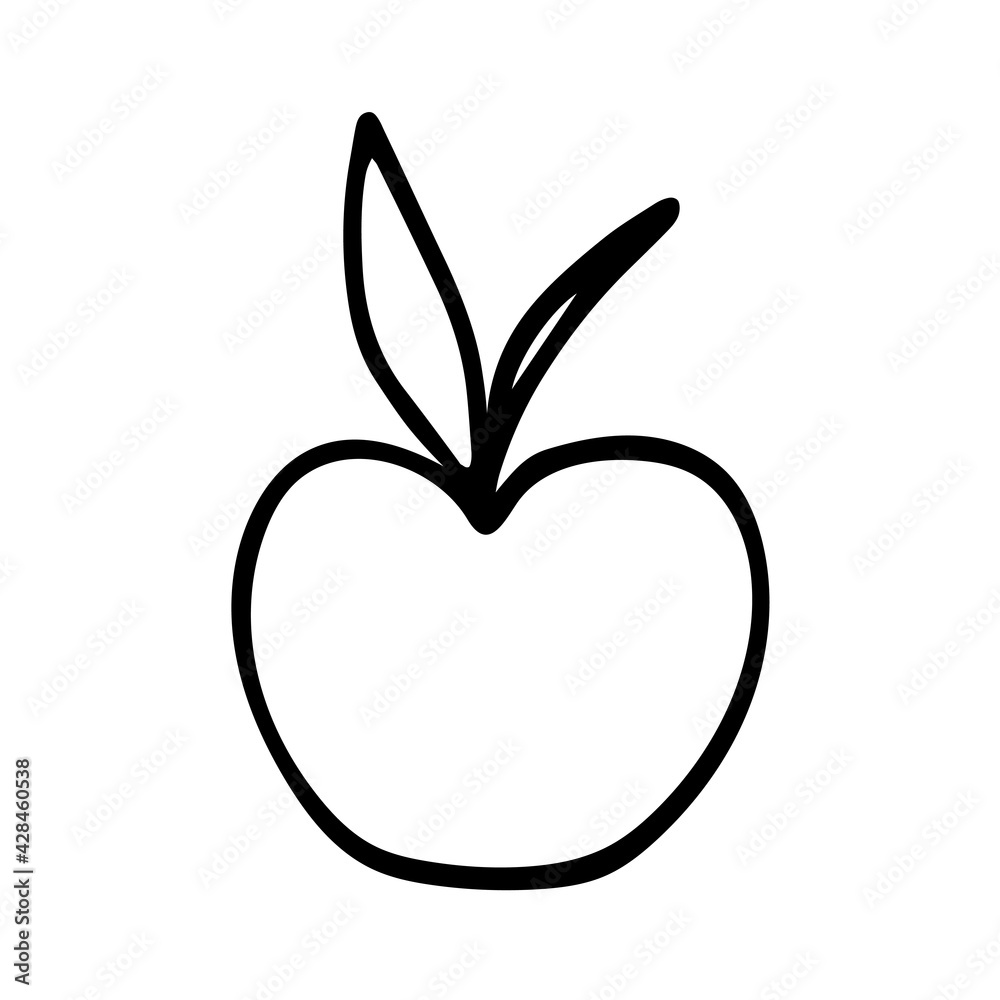 Vector outline illustration of one apple with leaves isolated on a white background