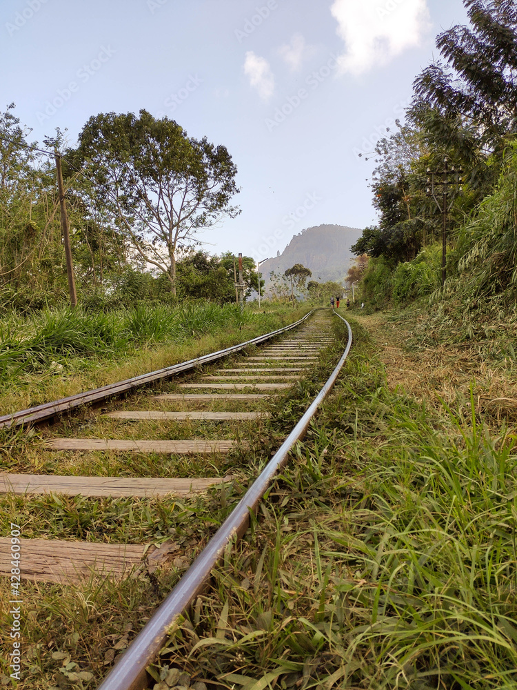 Schienen auf Sri Lanka 