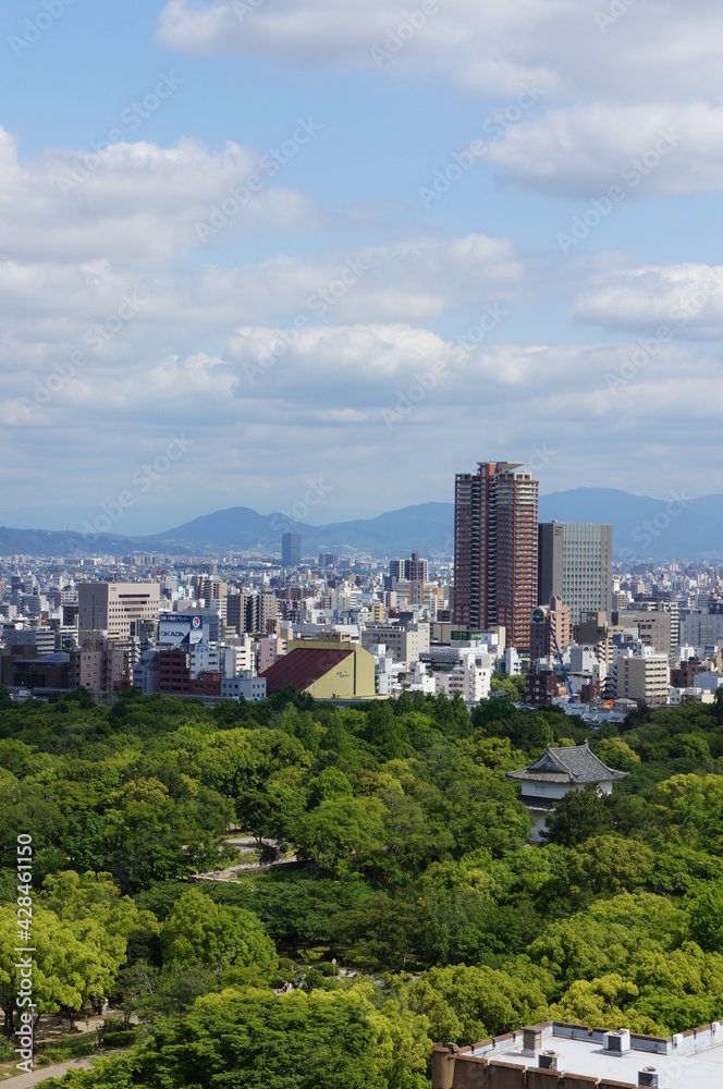Obraz premium osaka city