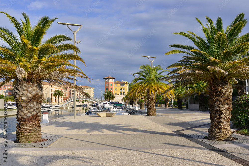 Sur le quai du canal Port Fréjus 2 avec ses palmiers à Fréjus (83600), département du Var en région Provence-Alpes-Côte-d'Azur, France