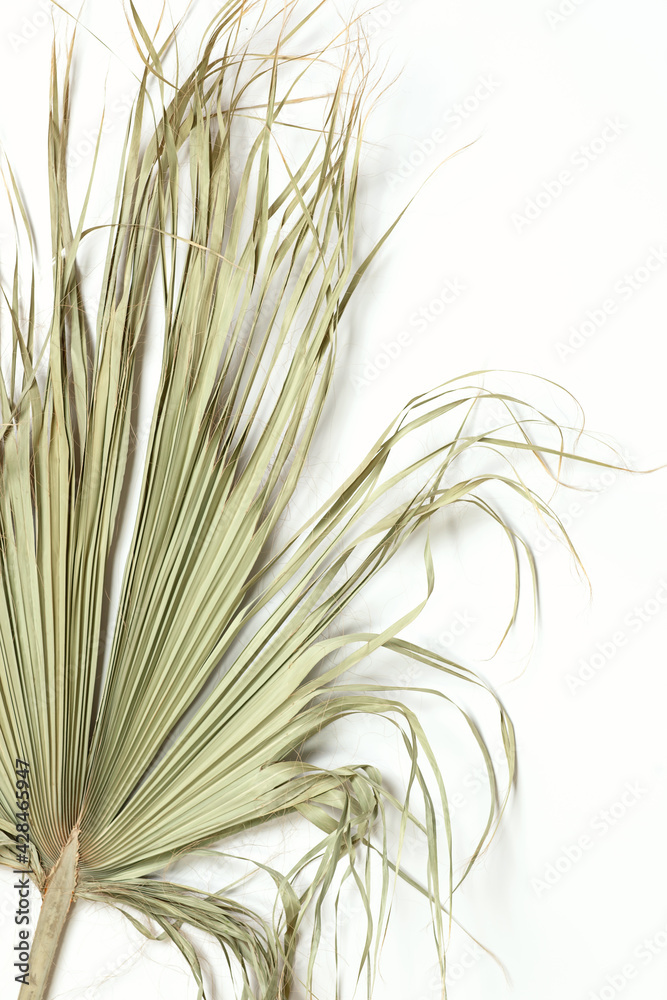 Fototapeta premium Abstract palm leaf holiday seaside background in earth tones