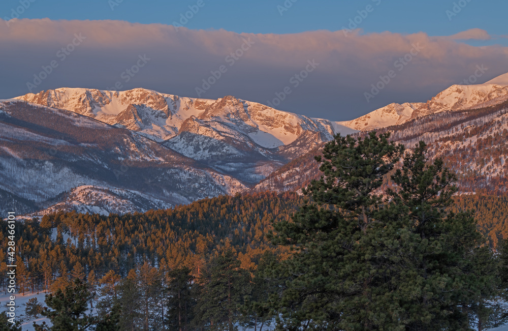 Winter landscape at sunrise of the snow flocked Rocky Mountains, Rocky Mountain National Park, Colorado, USA