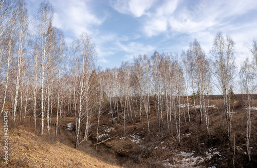 spring landscape on the river bank with forest, Ural, Russia April 2021