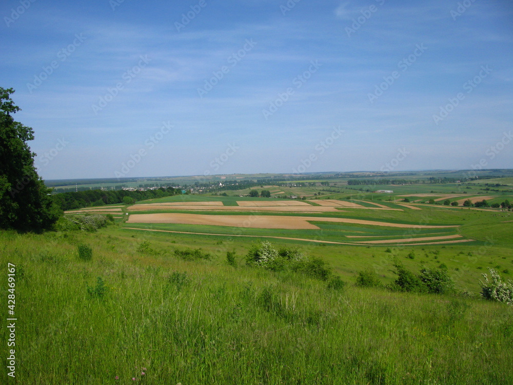 Widok na pola wśród zielonej trawy na tle niebieskiego nieba