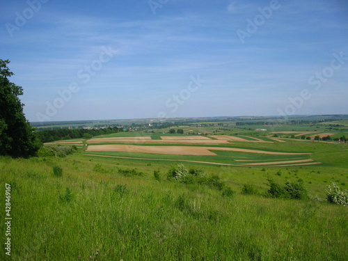 Widok na pola wśród zielonej trawy na tle niebieskiego nieba