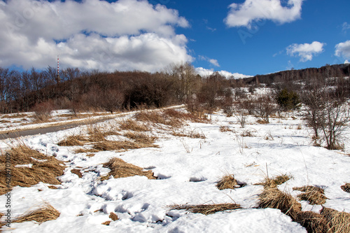 Winter view of Kopititoto area at Vitosha Mountain, Bulgaria photo