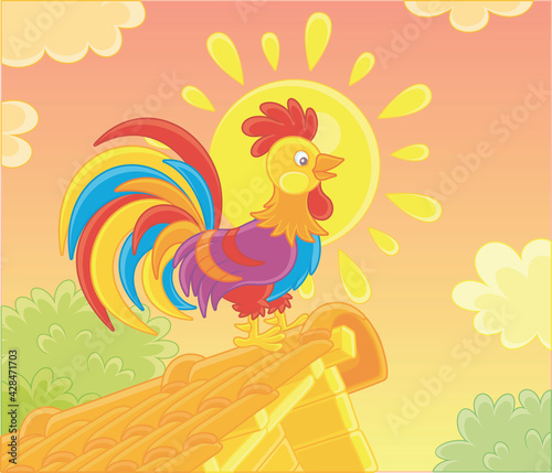 Colorful rooster singing on a tile roof of an old village house on a warm summer morning, vector cartoon illustration