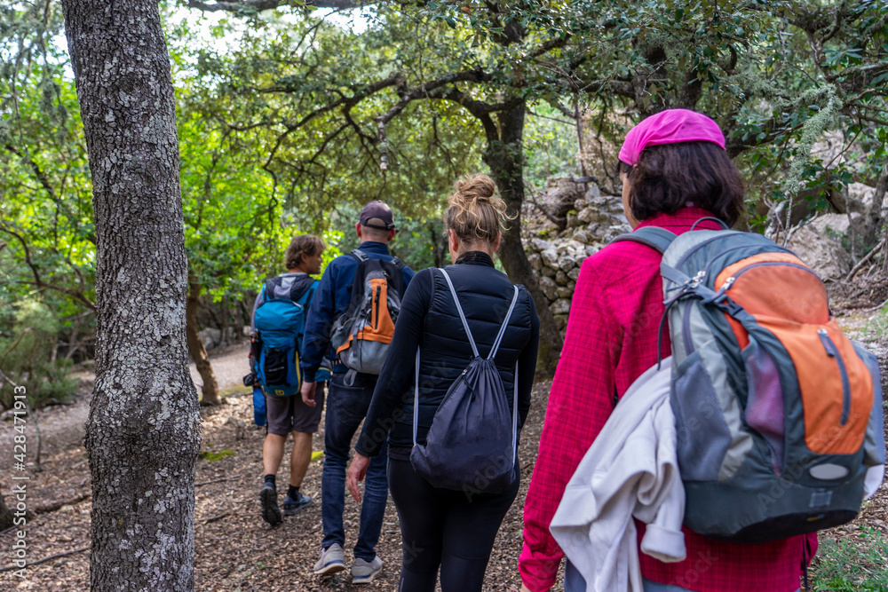 Schönes Mallorca: Wanderung durch den Steineichenwald im Naturpark nahe Valldemossa Schönes Mallorca: Wanderung durch den Steineichenwald im Naturpark nahe Valldemossa