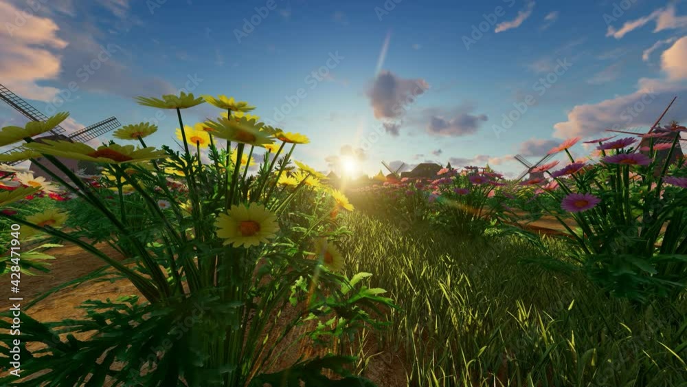 Rows with colorful daisies and windmills in the background
Rows with colorful daisies and windmills in the background