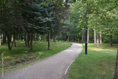 Alejka w parku uzdrowiskowym z pięknymi drzewami