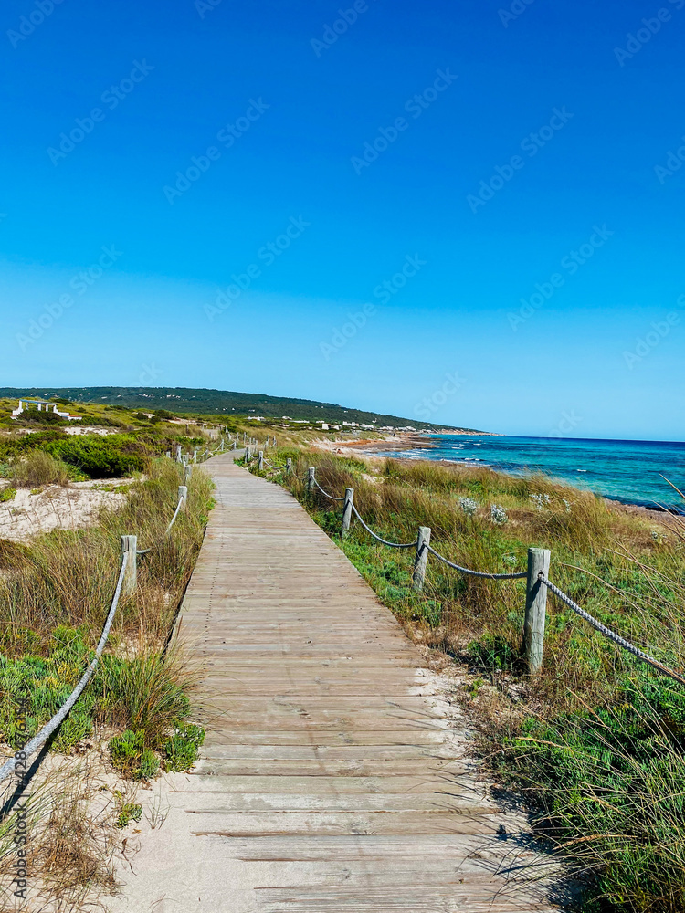 Fototapeta premium Paseo de madera típico del mediterraneo con cuerdas junto a la playa con el mar calmado un dia soleado y vegetación alrededor en verano