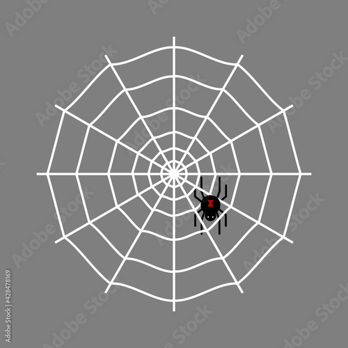 Black widow in a web