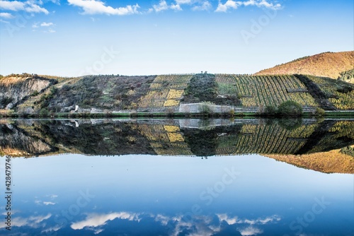 Mosel bei Mehring